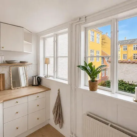 Spacious 3-floor Apartment, Nyhavn Rooftop Terrace * København