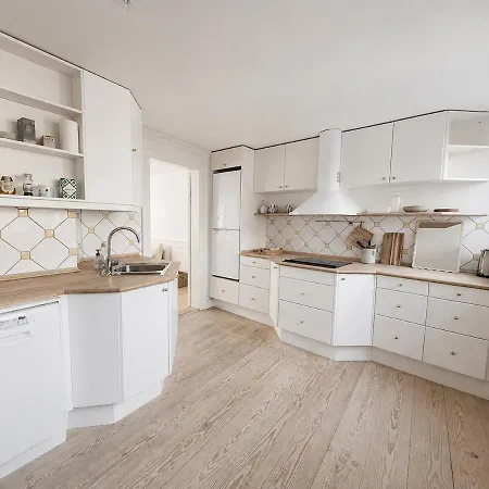 Spacious 3-floor Apartment, Nyhavn Rooftop Terrace *